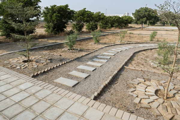 Textile Institute of Pakistan